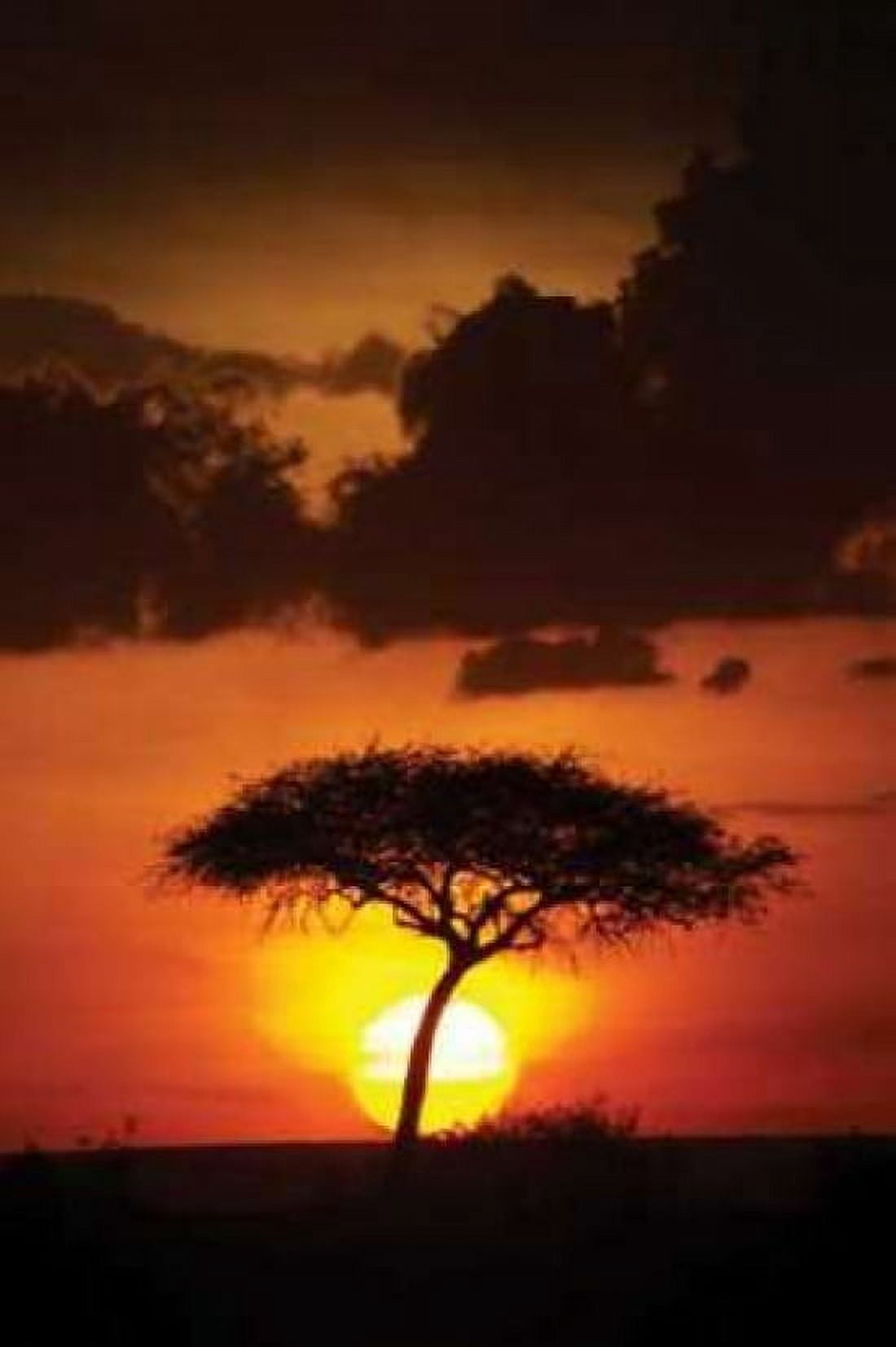 Kenya Sunrise Canvas Art - Susann Parker (24 x 36)