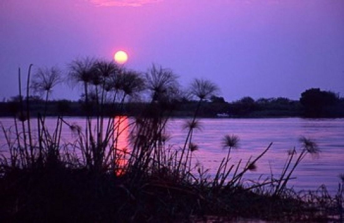 Kenya Sunset reflects through silhouetted reeds Canvas Art - Jaynes Gallery DanitaDelimont (17 x 11)