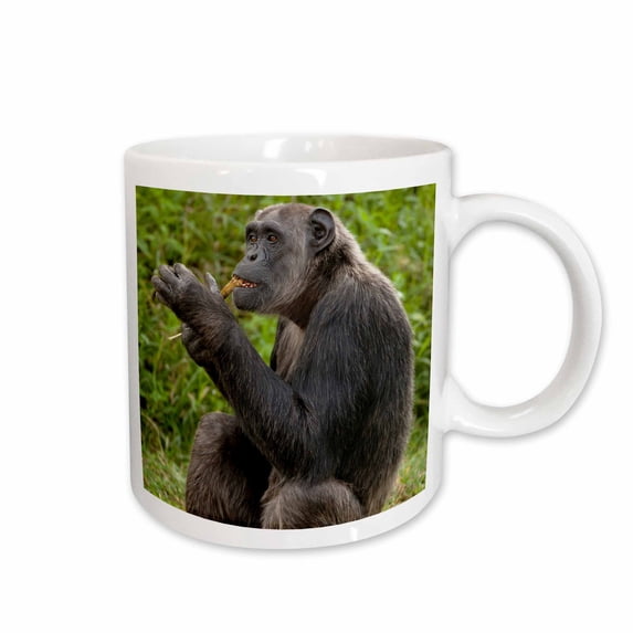 3drose, Kenya, Sweetwater, Chimpanzee Primate - Af21 Jmc0268 - Joe and Mary Ann Mcdonald, 15oz Mug