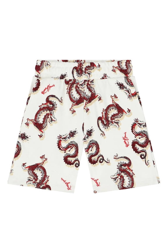 Boys All-Over Dragon Print Shorts, Size 10Y