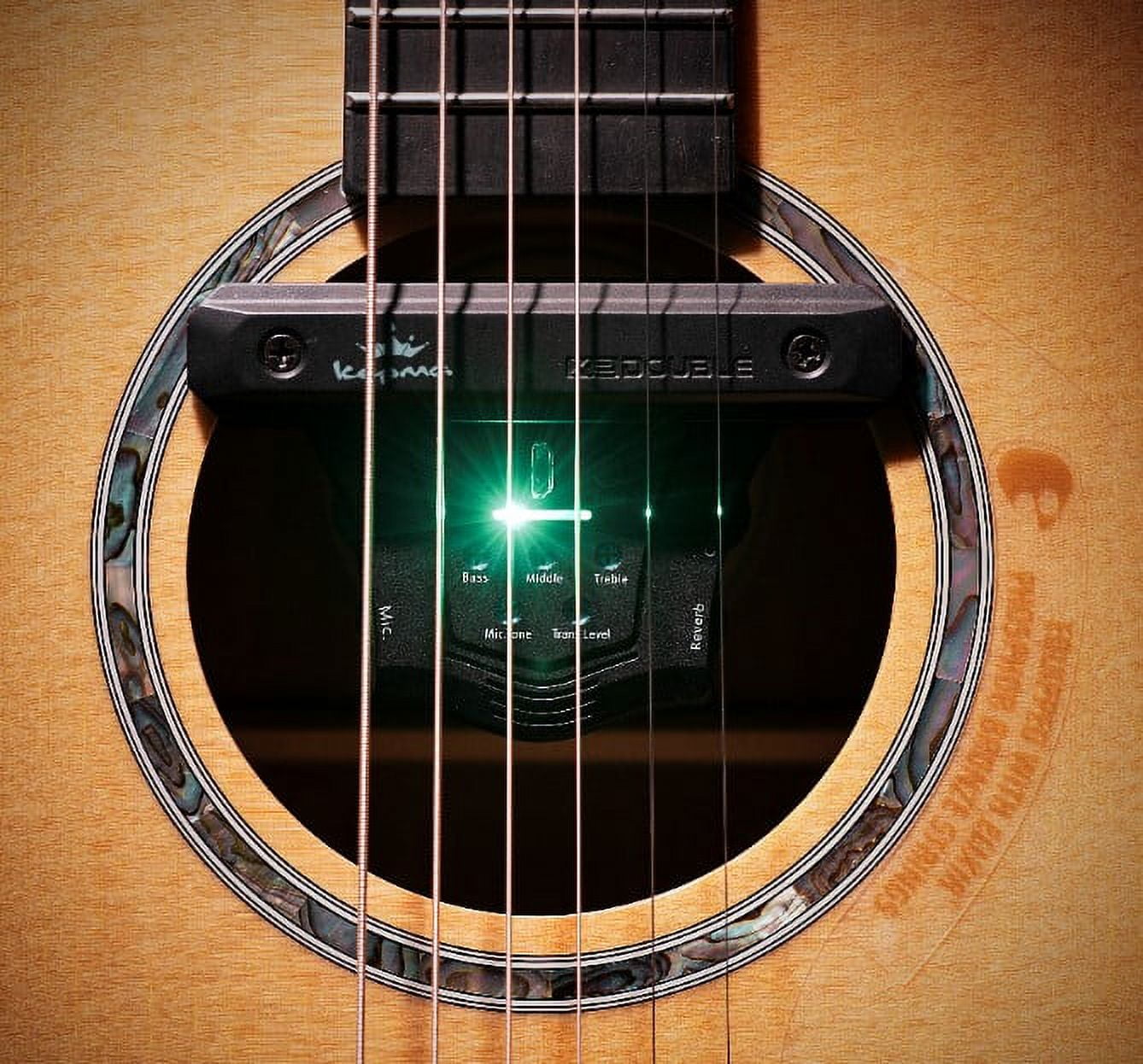 Kepma AcoustiFex GO Preamp Effects system Walmart