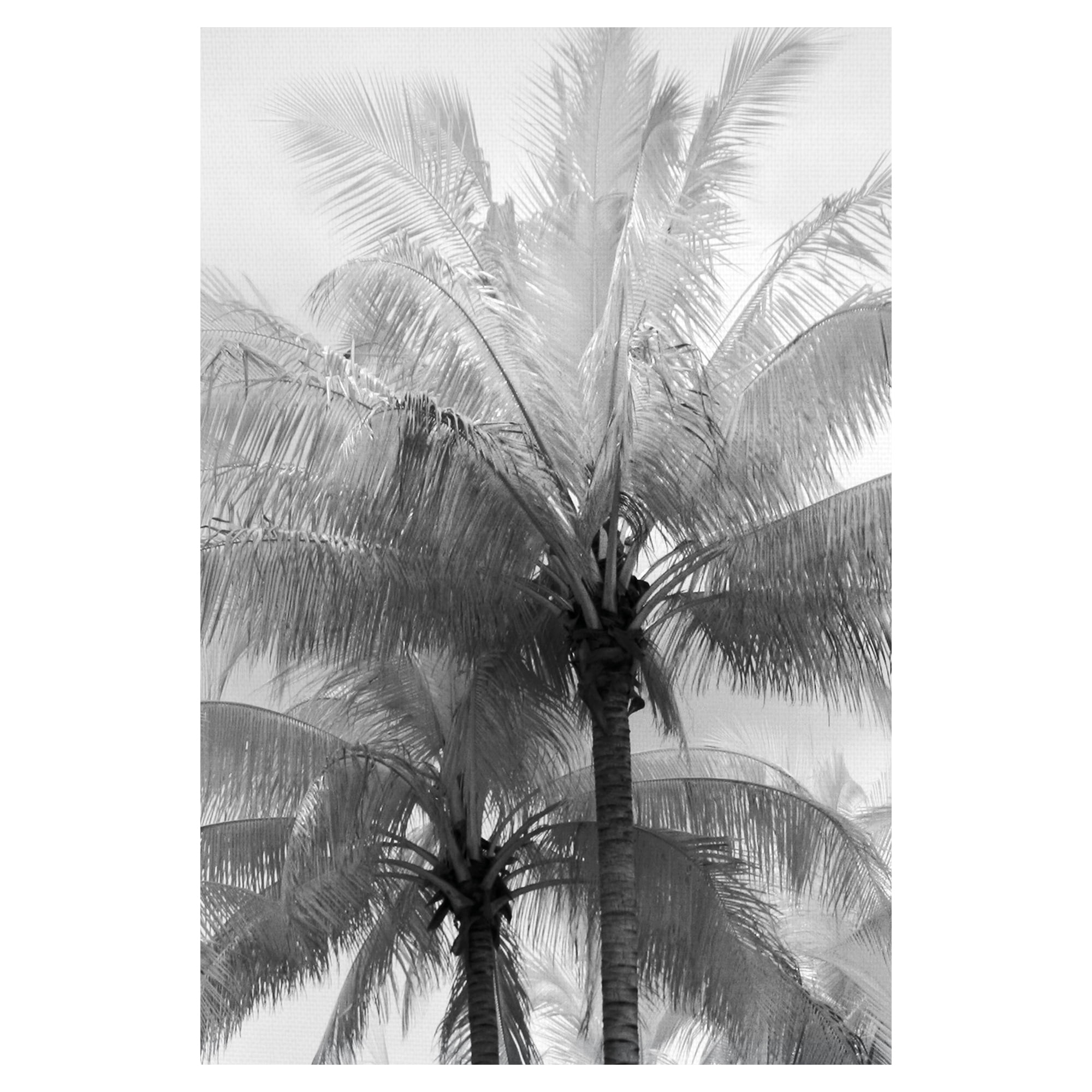 Kerala Focus by Bill Philip Palm Trees Photo Canvas Art
