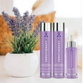 thumbnail image 1 of Keratherapy Violet-Based TOTALLY BLONDE COLLECTION Shampoo + Condition + Toning Leave-In, 1 of 3
