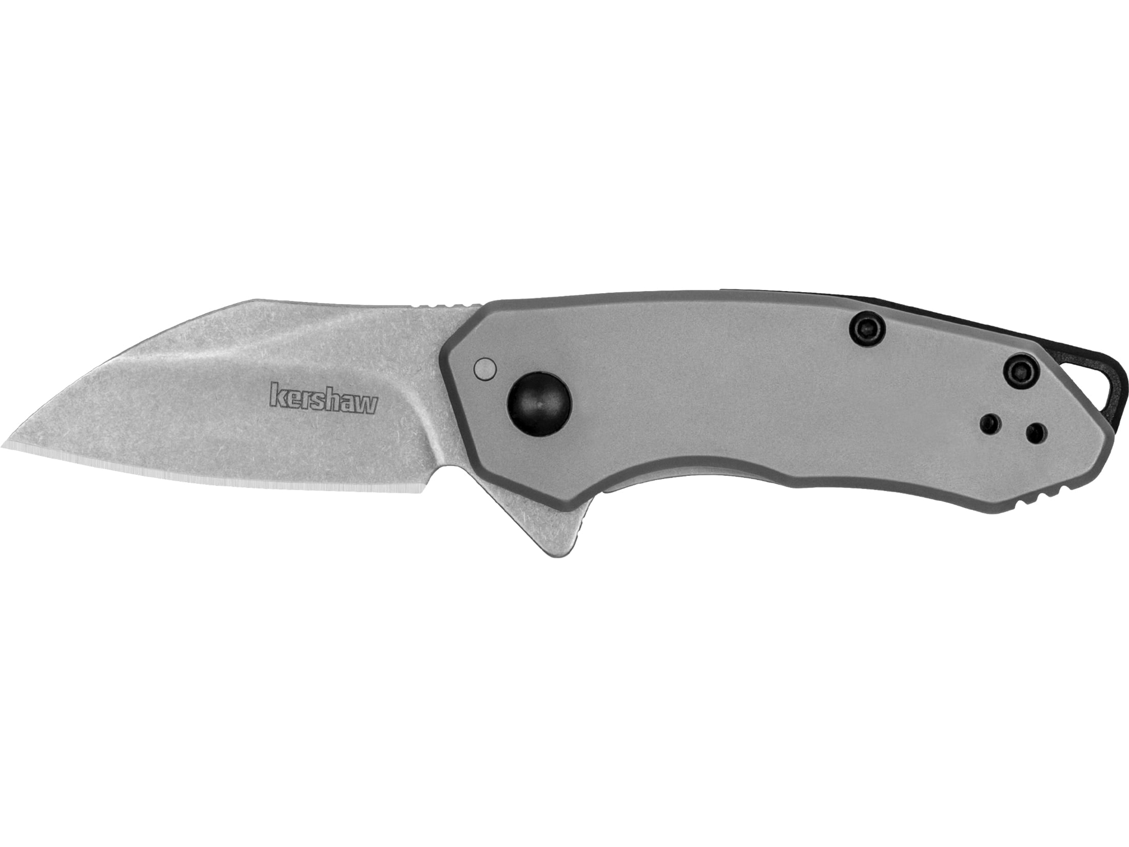 Kershaw Rate Assisted Opening Pocket Knife 1.85" Wharncliffe 8Cr13MoV Stonewashed Blade Stainless Steel Handle Beadblasted