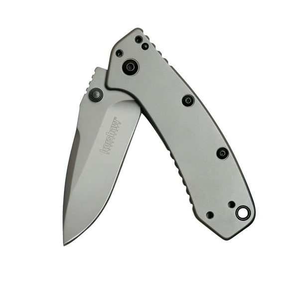 Kershaw Cryo Pocket Knife, 2.25" Blade with Assisted Opening
