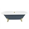 thumbnail image 1 of Altair Kerta 67" x 29" Acrylic Clawfoot Soaking Bathtub in Glossy Gray, 1 of 14