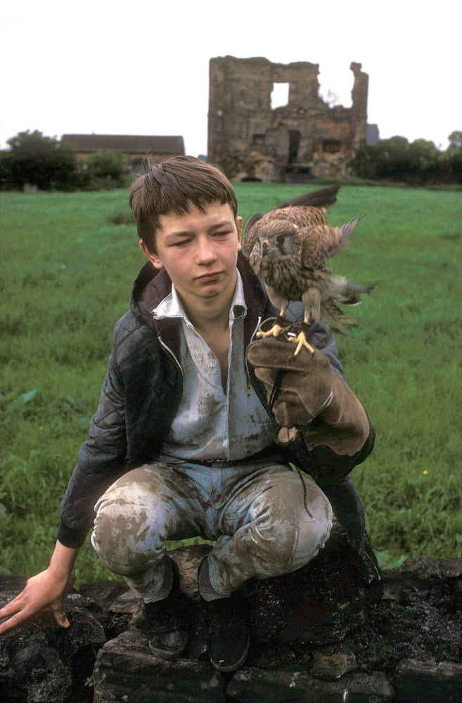 Kes Canvas Art - (16 x 20)