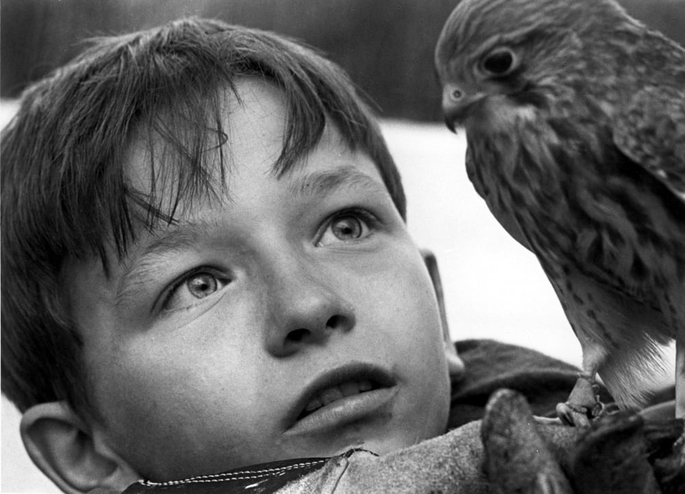 Kes Canvas Art - (20 x 16)