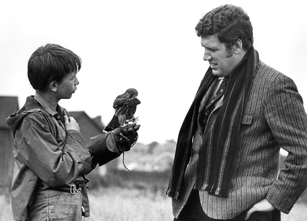 Kes Canvas Art - (20 x 16)