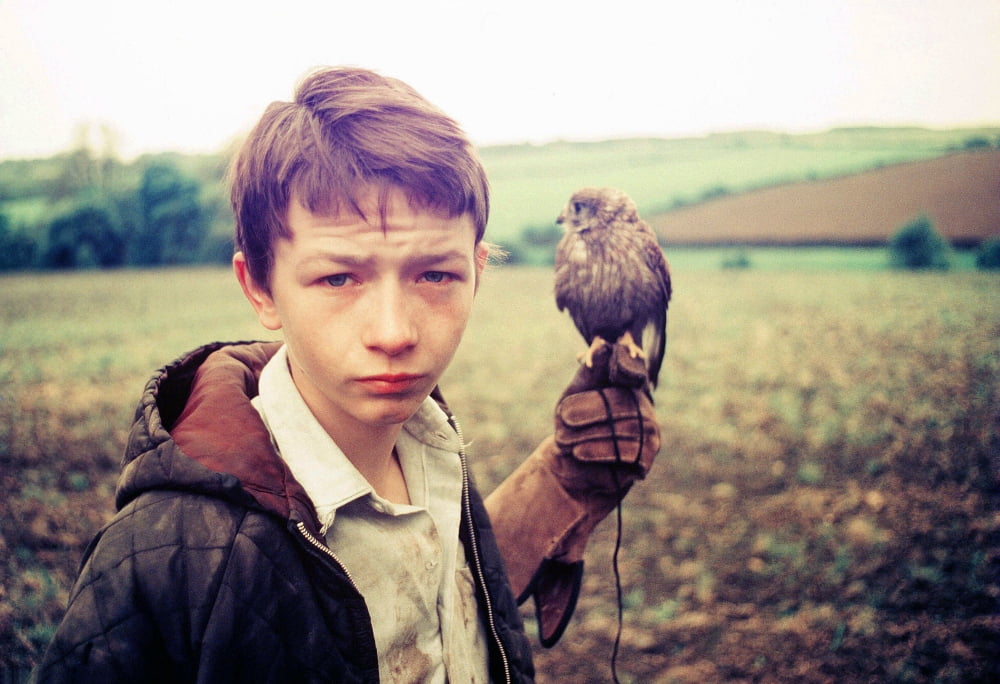 Kes Canvas Art - (28 x 22)