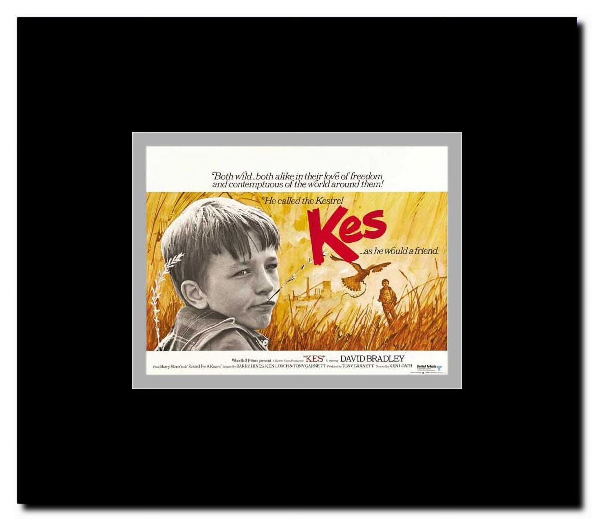 Kes Framed Movie Poster