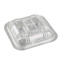 Kesenlong plastic box 100pcs Disposable Transparent Plastic Boxes Hinged Lid Four-grid Takeout Food Containers for Desserts Fruits