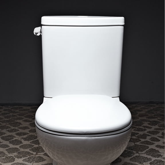 FRCOLOR Toilet Tank Lever Flush Handle in Silver Plastic for TOTOCompatible Side Mount Design 2.5 Inch