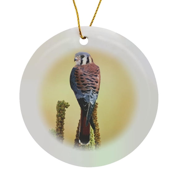 3drose, Kestrel, Bird Native to Us and Canada - Na02 Dno0144 - David Northcott, Circle Porcelain Ornament