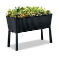 thumbnail image 1 of Keter Easy Grow Durable Resin Raised Garden Bed with Self-Watering and Drainage System, Rattan Anthracite Grey, 1 of 12