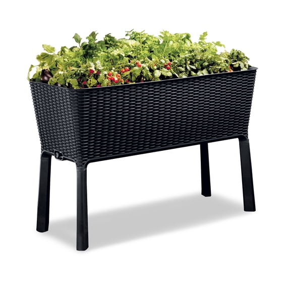 Keter Easy Grow Durable Resin Raised Garden Bed with Self-Watering and Drainage System, Rattan Anthracite Grey