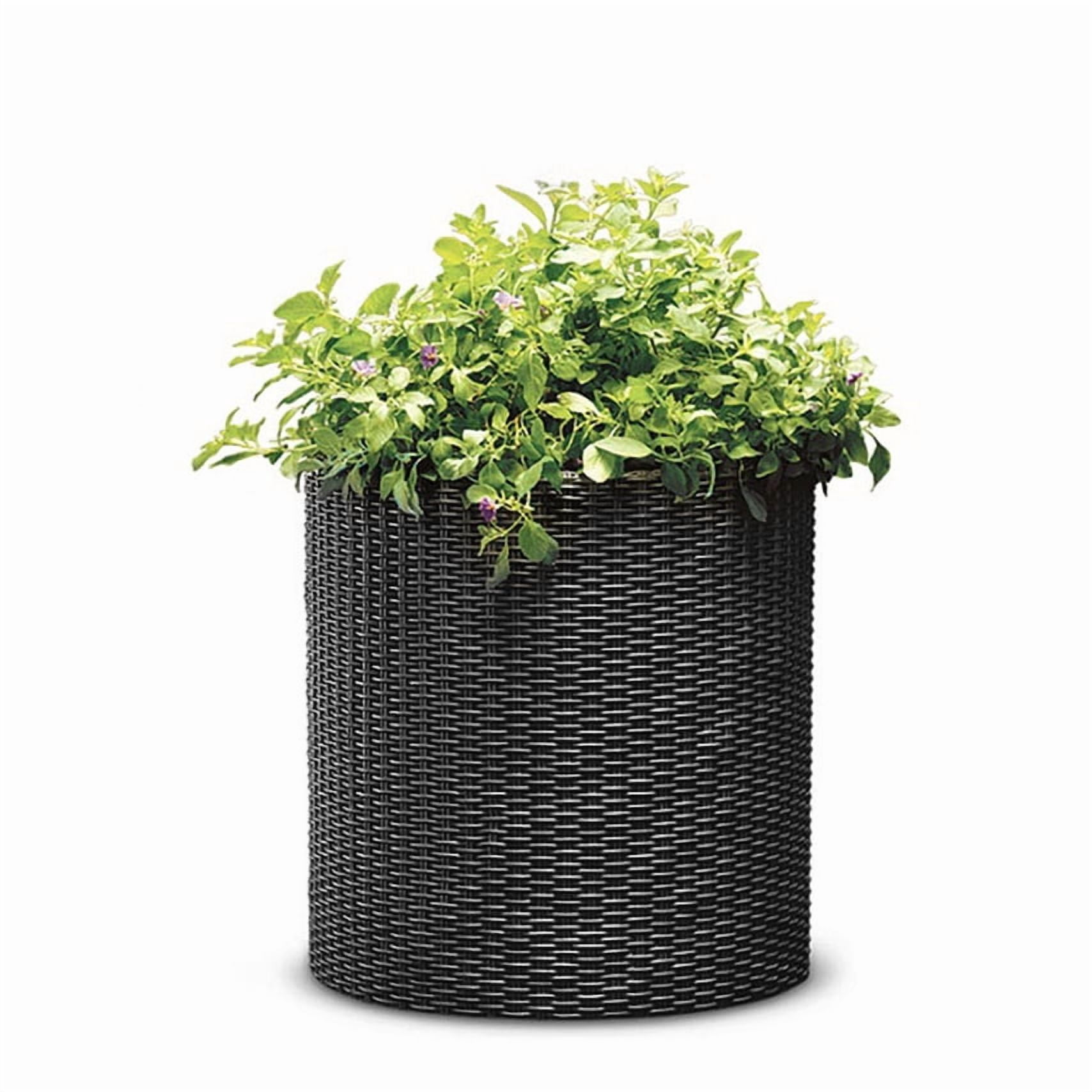 Keter Medium Cylinder Rattan Resin Planter Set of 2 for Indoor and Outdoor Plants Ideal for Patio and Porches, Graphite