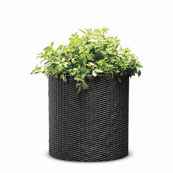 Keter Medium Cylinder Rattan Resin Planter Set of 2 for Indoor and Outdoor Plants Ideal for Patio and Porches, Graphite