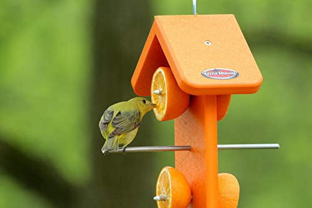 Kettle Moraine Recycled Double Oriole Orange Fruit Feeder