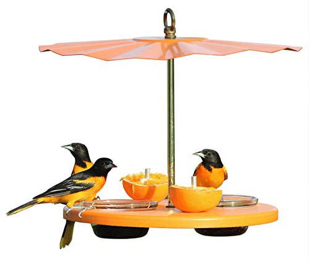Kettle Moraine Super Oriole Recycled Orange Fruit, Jelly, Mealworm Bird