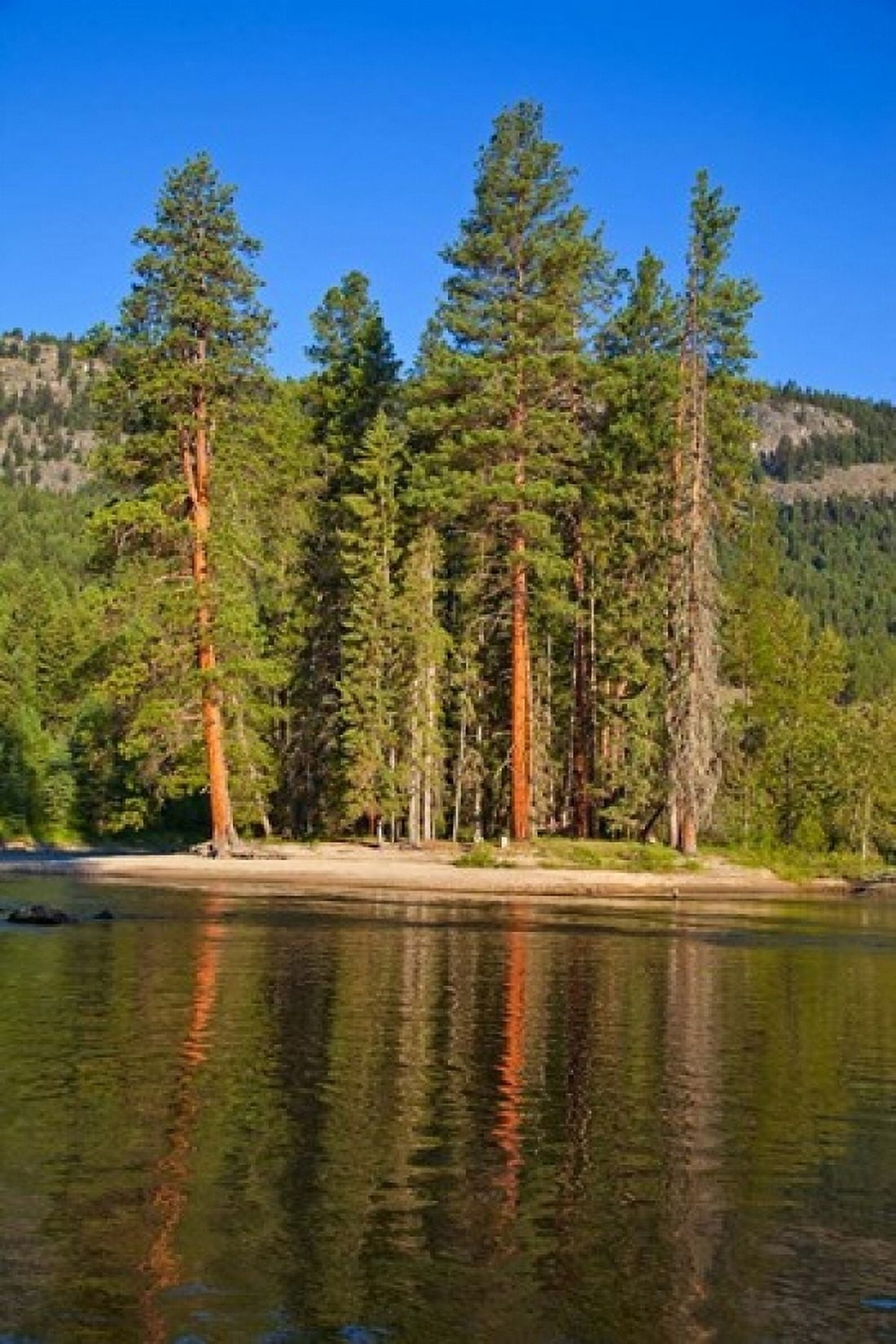 Kettle River Provincial Park British Columbia Canvas Art - Chuck Haney DanitaDelimont (24 x 36)