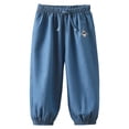 thumbnail image 1 of Ketyyh-chn99 Girls Baggy Jeans Kids Cargo Denim Jeans Straight Wide Leg Baggy Pants for Girls Boys Casual Washed Trousers Size for 12-18 Months,Blue, 1 of 7