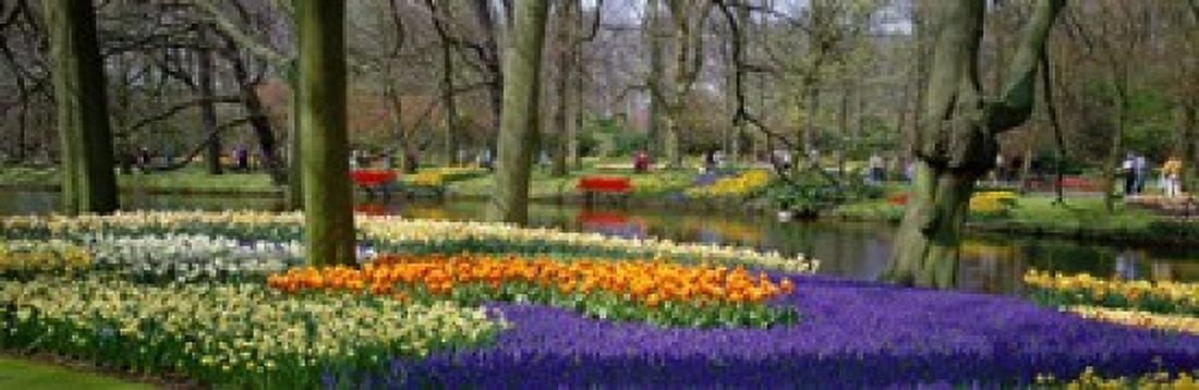 Keukenhof Garden Lisse The Netherlands Canvas Art - Panoramic Images (18 x 6)