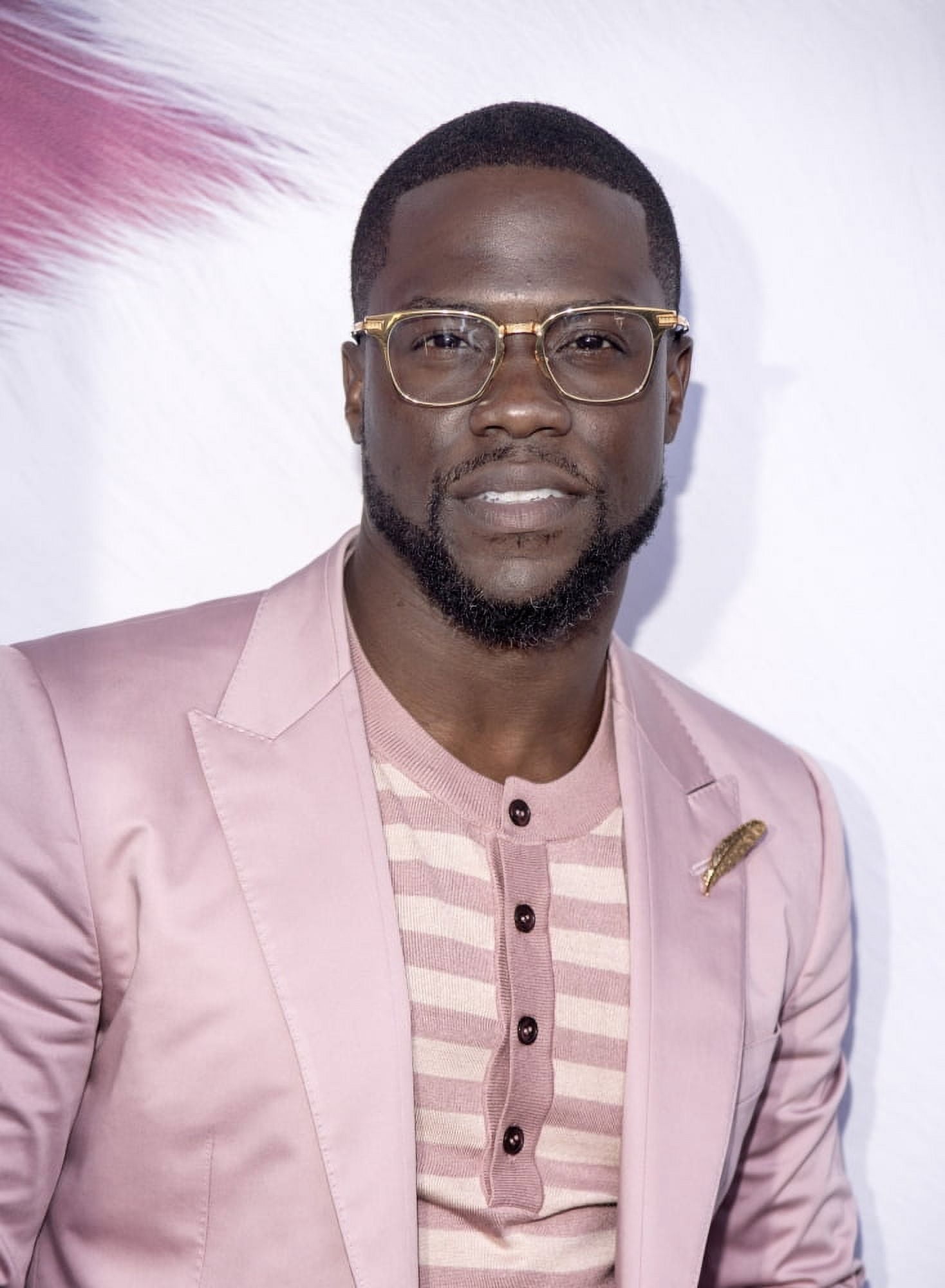 Kevin Hart At Arrivals For The Secret Life Of Pets Premiere Canvas Art - (16 x 20)