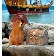 thumbnail image 1 of Kevins Gift Shoppe Ceramic Pirate Golden Retriever Dog and Treasure Box Salt and Pepper Shakers, 1 of 4