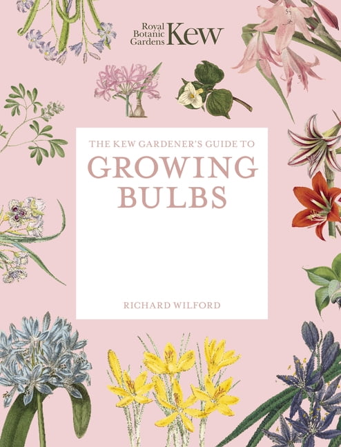 Kew Experts The Kew Gardener's Guide to Growing Bulbs: Paperback Reissue, (Paperback)
