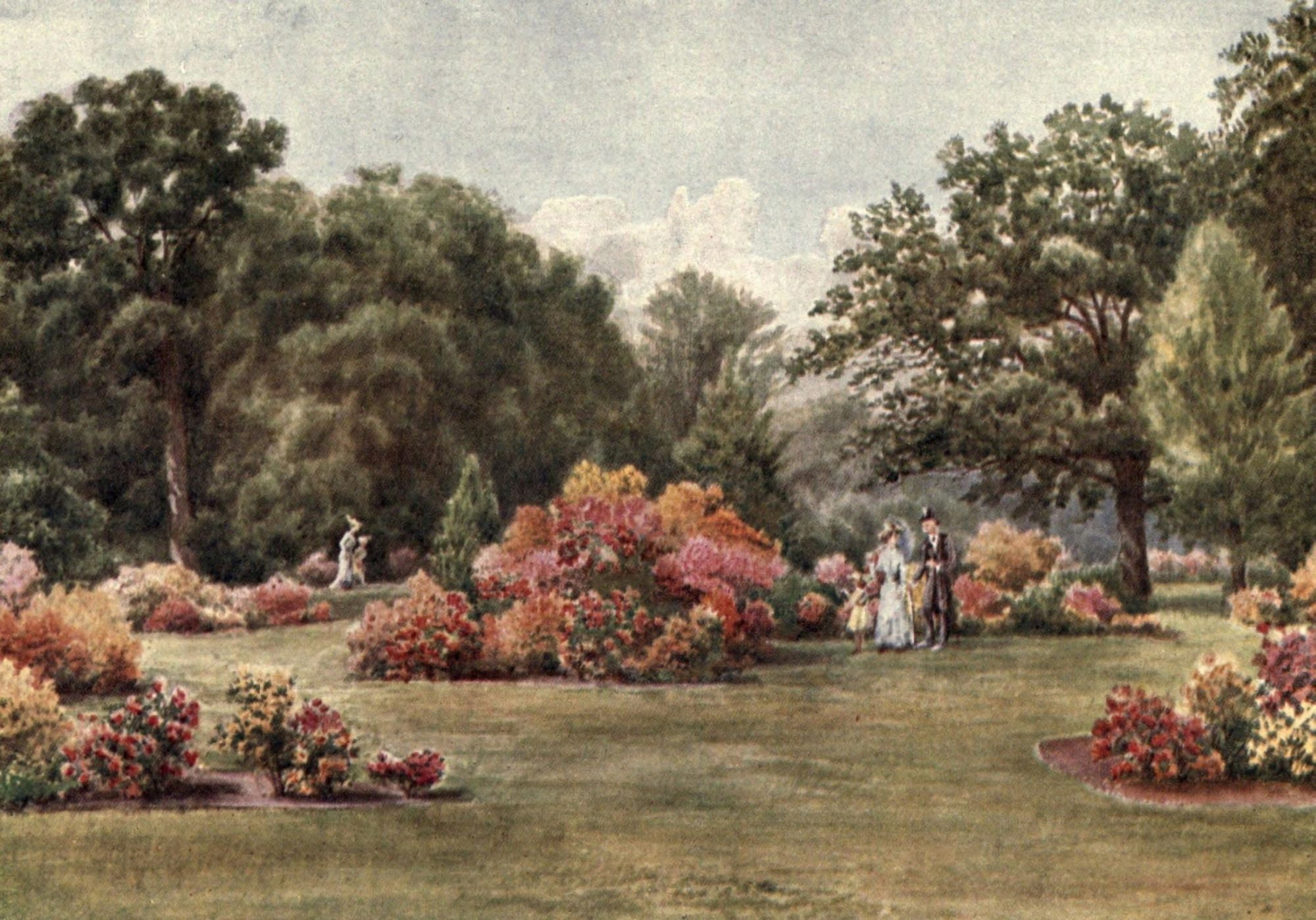 Kew Gardens 1908 Azaleas Canvas Art - T Mower Martin (18 x 24)