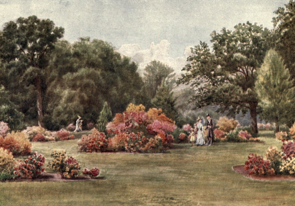 Kew Gardens 1908 Azaleas Canvas Art - T Mower Martin (24 x 36)
