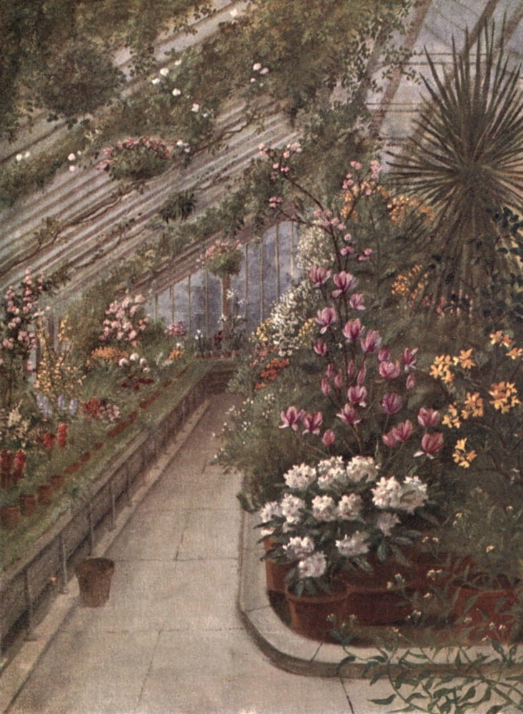 Kew Gardens 1908 Greenhouse Canvas Art - T Mower Martin (24 x 36)