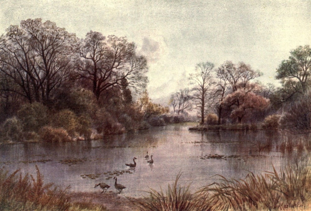 Kew Gardens 1908 Lake Canvas Art - T Mower Martin (18 x 24)