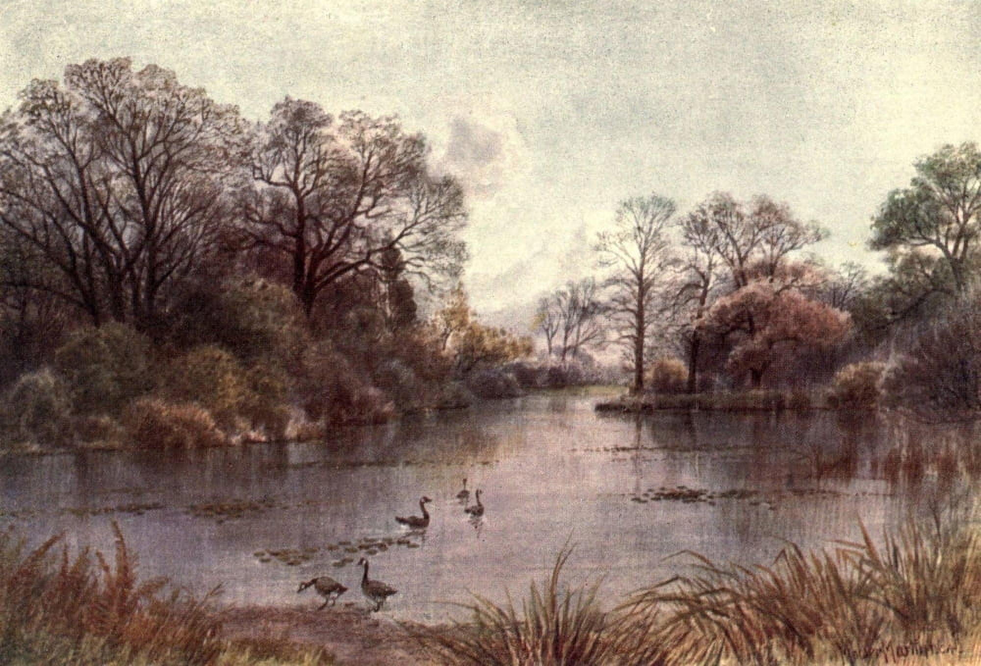 Kew Gardens 1908 Lake Canvas Art - T Mower Martin (24 x 36)