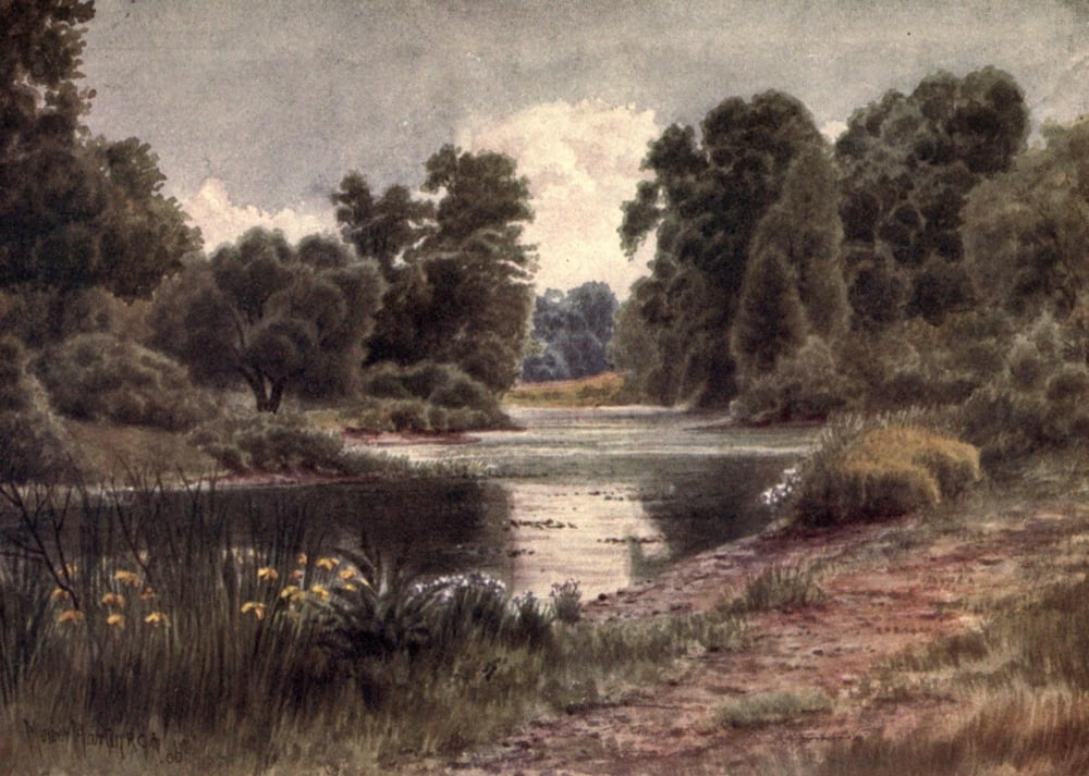Kew Gardens 1908 Lake looking south Canvas Art - T Mower Martin (24 x 36)