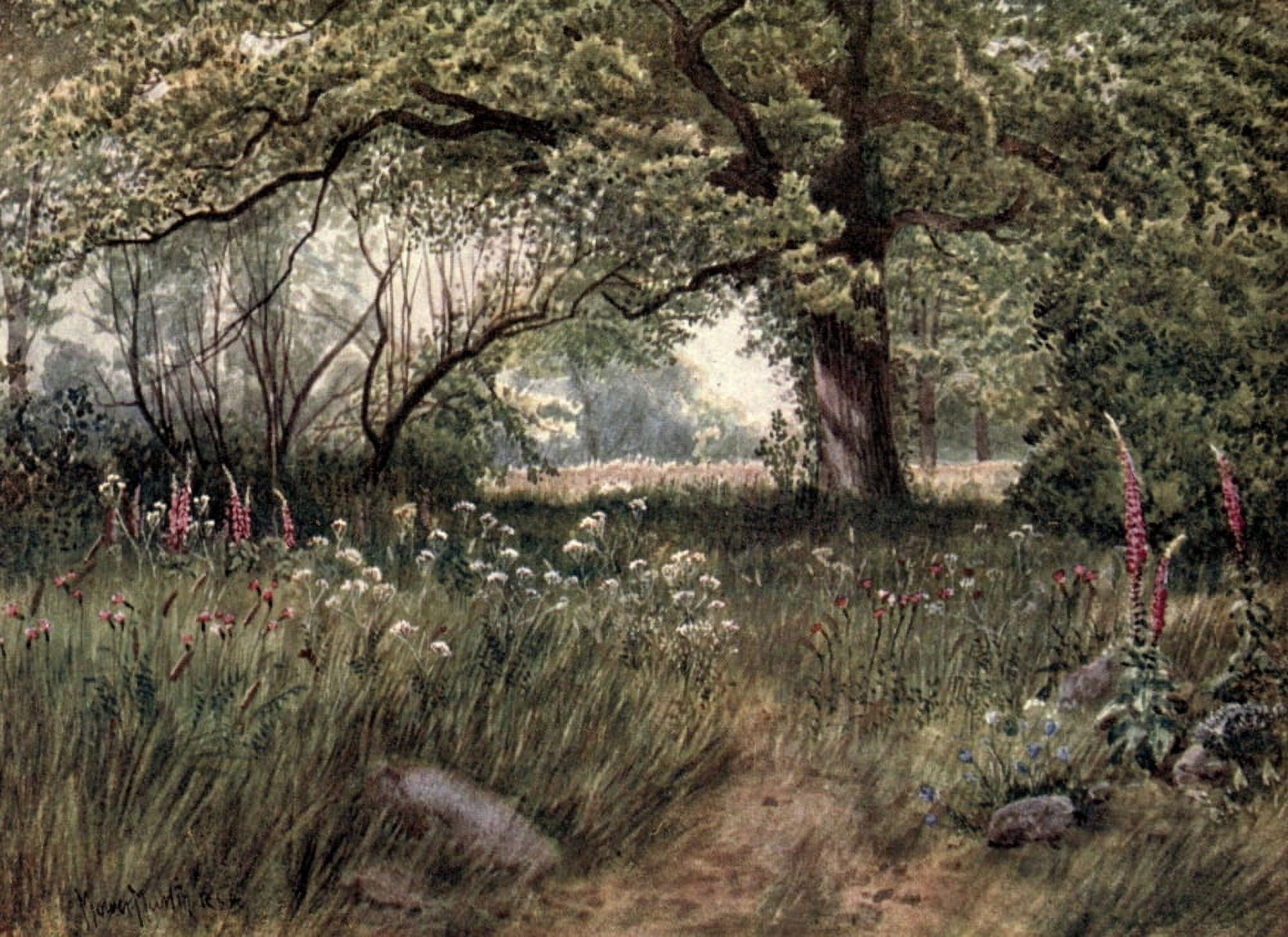 Kew Gardens 1908 Queens Cottage Garden Canvas Art - T Mower Martin (24 x 36)