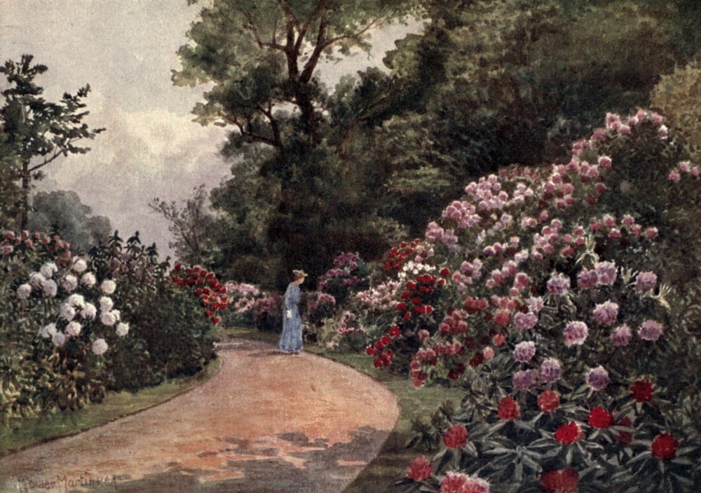 Kew Gardens 1908 Rhododendron Walk Canvas Art - T Mower Martin (18 x 24)