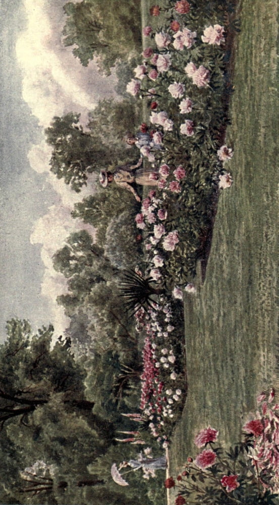 Kew Gardens 1908 The Peonies Canvas Art - Thomas Mower Martin (18 x 24)