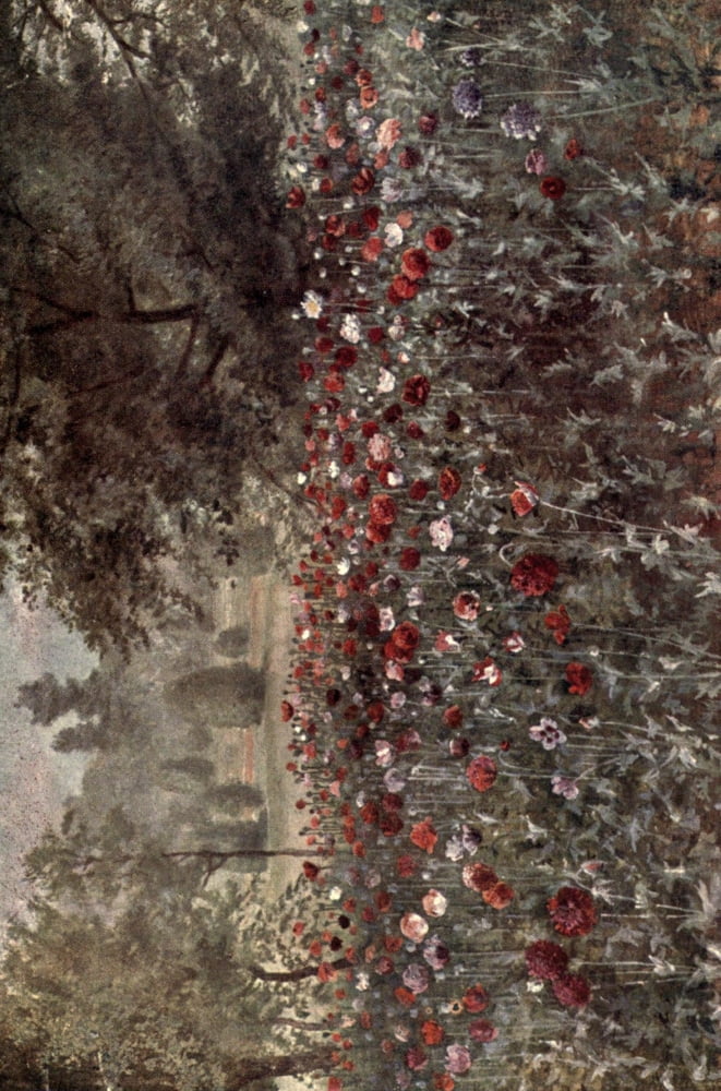 Kew Gardens 1908 The Poppy Beds Canvas Art - Thomas Mower Martin (24 x 36)