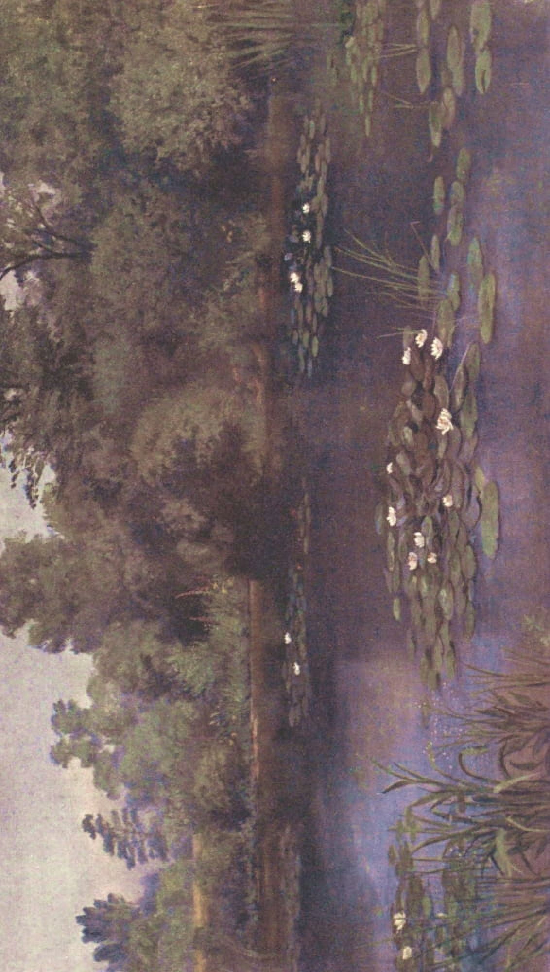 Kew Gardens 1908 The Water Lily Pond Canvas Art - Thomas Mower Martin (18 x 24)