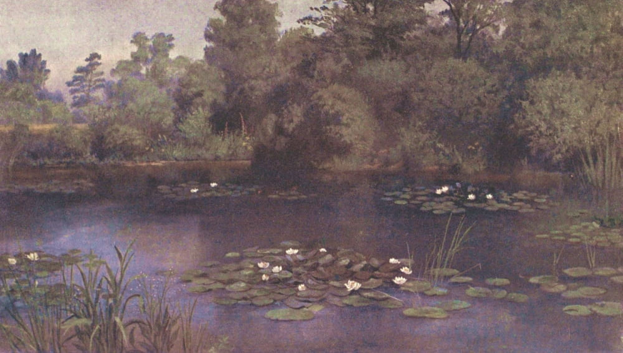 Kew Gardens 1908 Water Lily Pond Canvas Art - T Mower Martin (18 x 24)