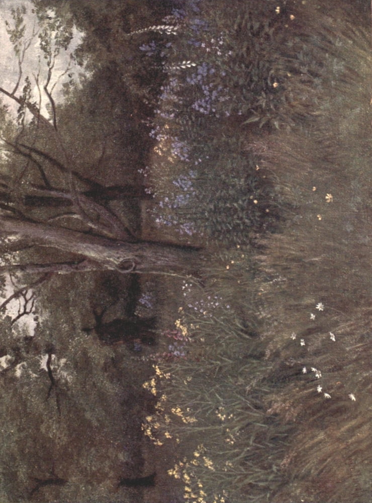 Kew Gardens 1908 Wild Flowers in the Beech Woods Canvas Art - Thomas Mower Martin (24 x 36)