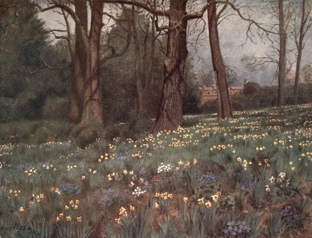 Kew Gardens 1908 Wild Garden in Spring Canvas Art - T Mower Martin (24 x 36)
