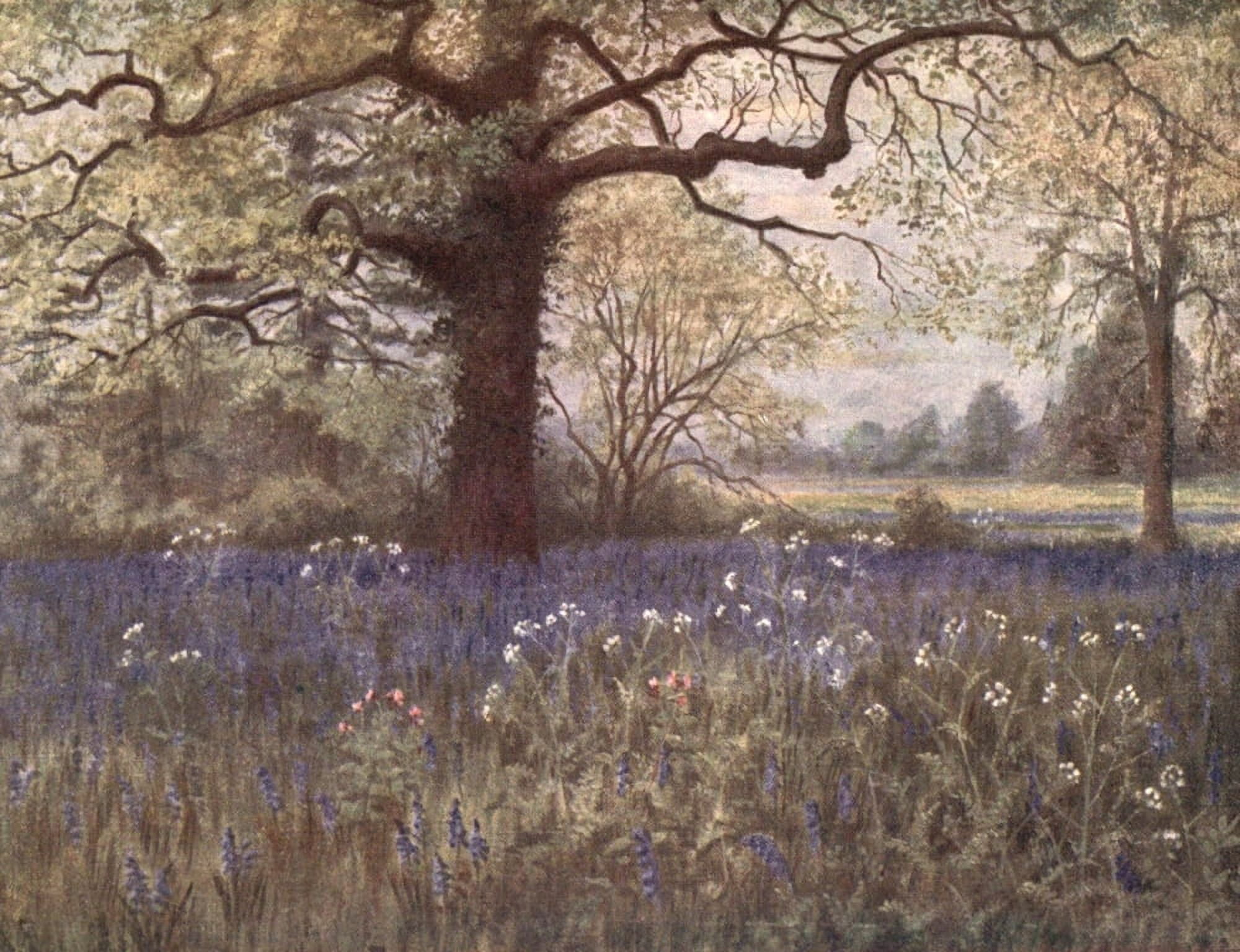 Kew Gardens 1908 Wild Hyacinths Canvas Art - T Mower Martin (18 x 24)