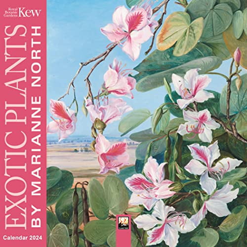 PreOwned Kew Gardens Exotic Plants by Marianne North Mini Wall
