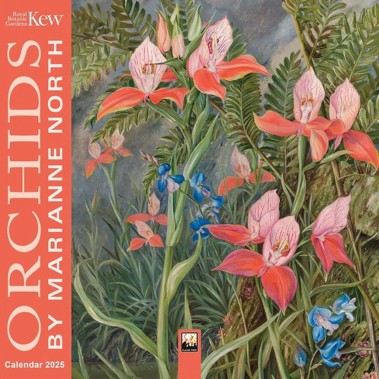 Kew Gardens Orchids by Marianne North Mini Wall Calendar 2025 (Art
