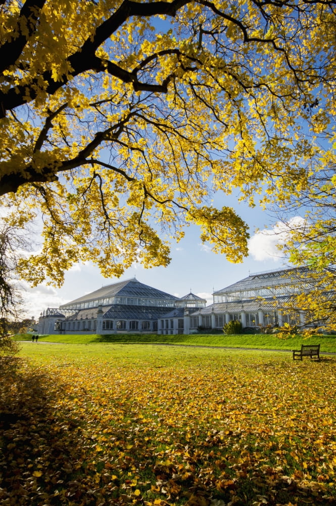 Kew Gardens Temperate House London England Canvas Art - Charles Bowman Design Pics (24 x 38)