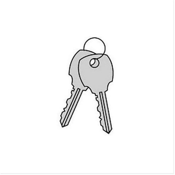 Key Blanks - for Built-in Key Locks of Extra Wide Designer Wood Lockers - Box of (50)