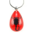 thumbnail image 1 of Key Chain Black Scorpion  Water Drop Shape  Red, 1 of 1